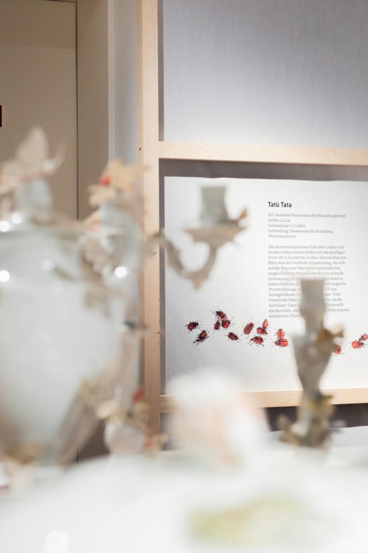 v@1_Homepage_Artenvielfalt_2