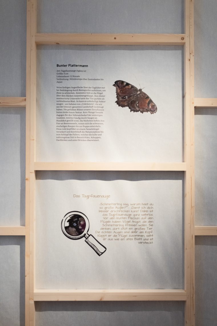 v@1_Homepage_Artenvielfalt_3