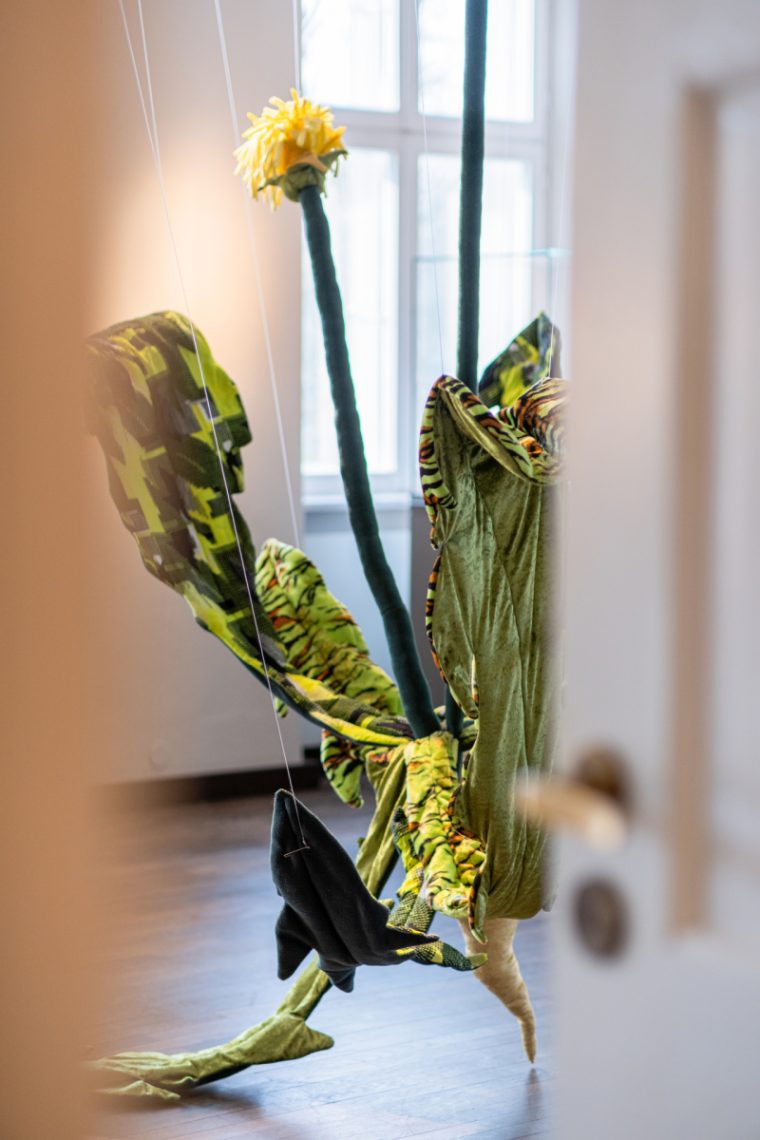 v@1_Homepage_Löwenzahn