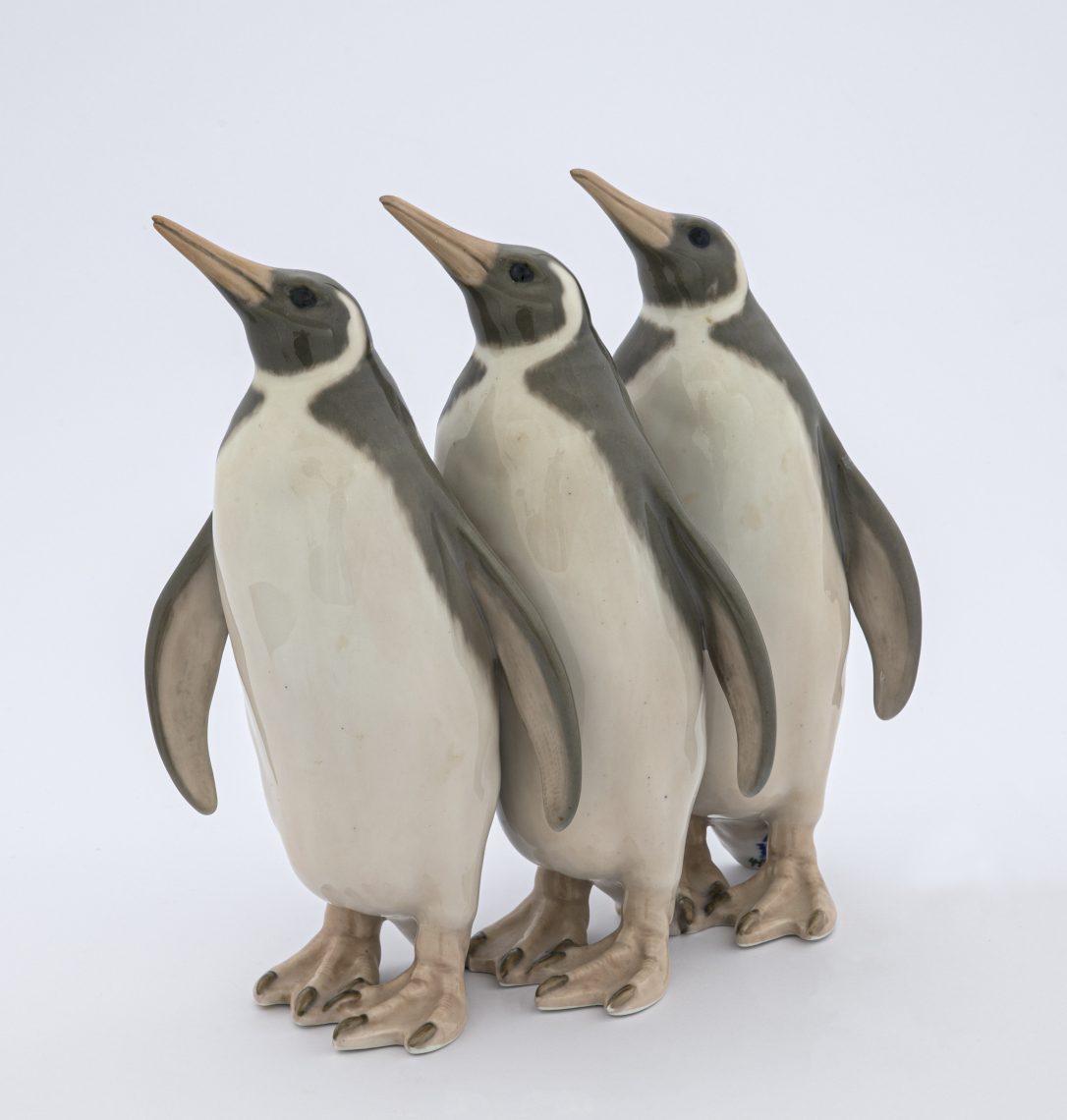 _DSC4114